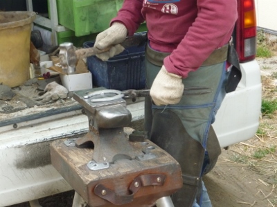 P1040477 (400x300).jpg