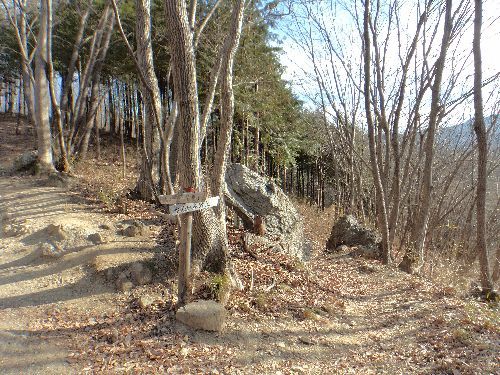 秩父・宝登山497．1m山行で幸せの香り満喫 | やっぱり山と花が好き - 楽天ブログ