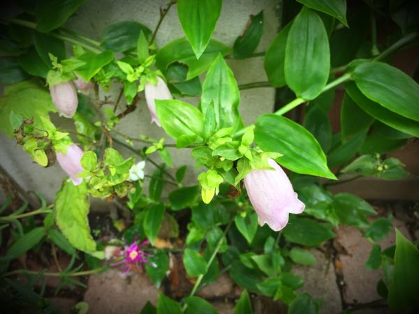 rblog-20160625182717-01.jpg
