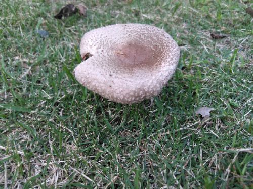 rblog-20180921144508-03.jpg