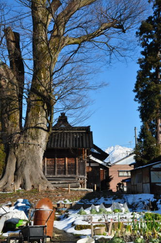 宮川　の　大けあき