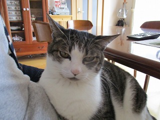 IMG_3208ss.jpg