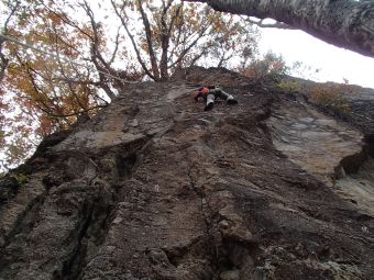 11.12 dada saigo.jpg