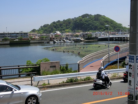 20150502野島　室之木