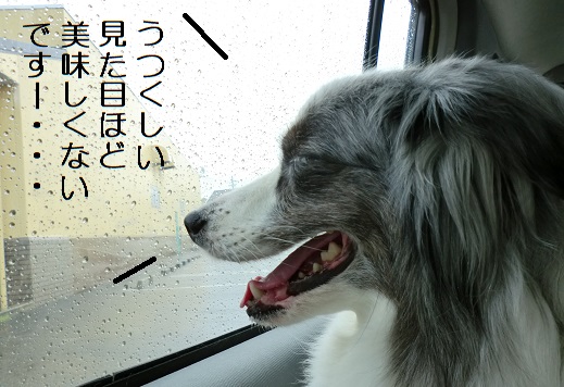 おいしくない