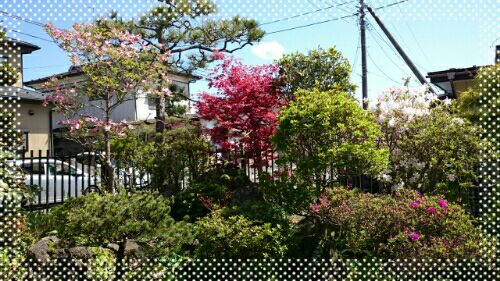rblog-20160501085230-03.jpg