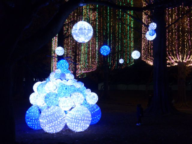 2012-12-13 18.52.00.jpg