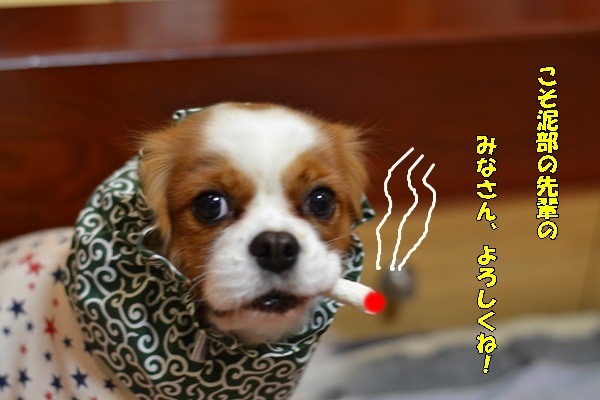 DSC_3989.jpg