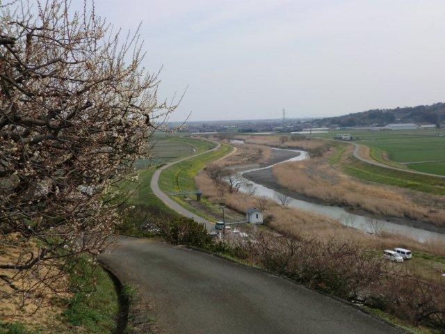 2012_0303_153043-CIMG0375 (2).jpg