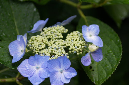 20140618_26.jpg