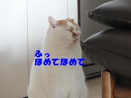 DSC01857.JPG