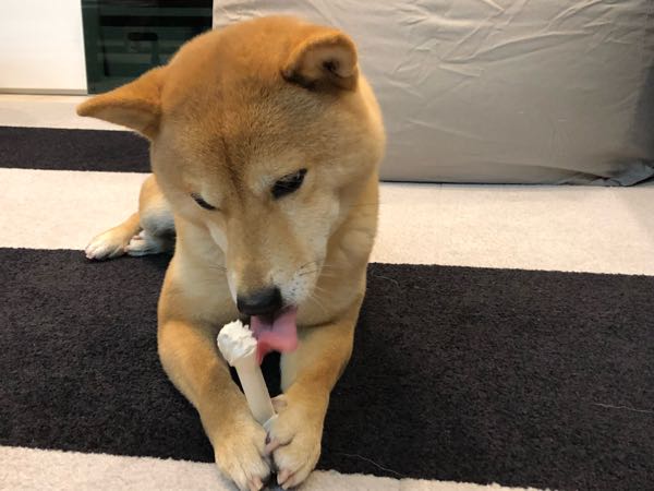 rblog-20180110125609-02.jpg