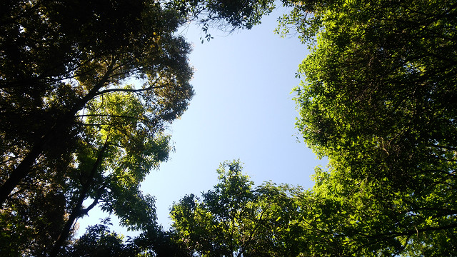 resize0024.jpg