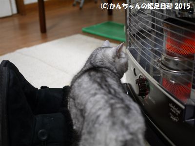 P1060333.jpg