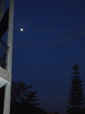 P1249766.JPG