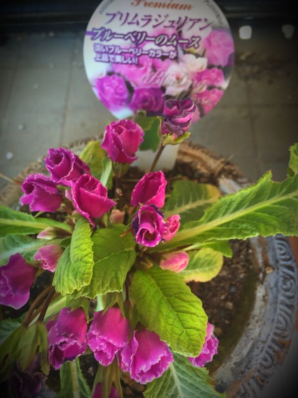 rblog-20150227215626-03.jpg
