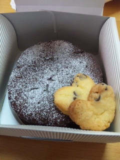 ｶﾞﾄｰｼｮｺﾗ