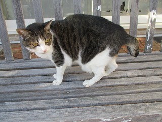 IMG_3665ss.jpg
