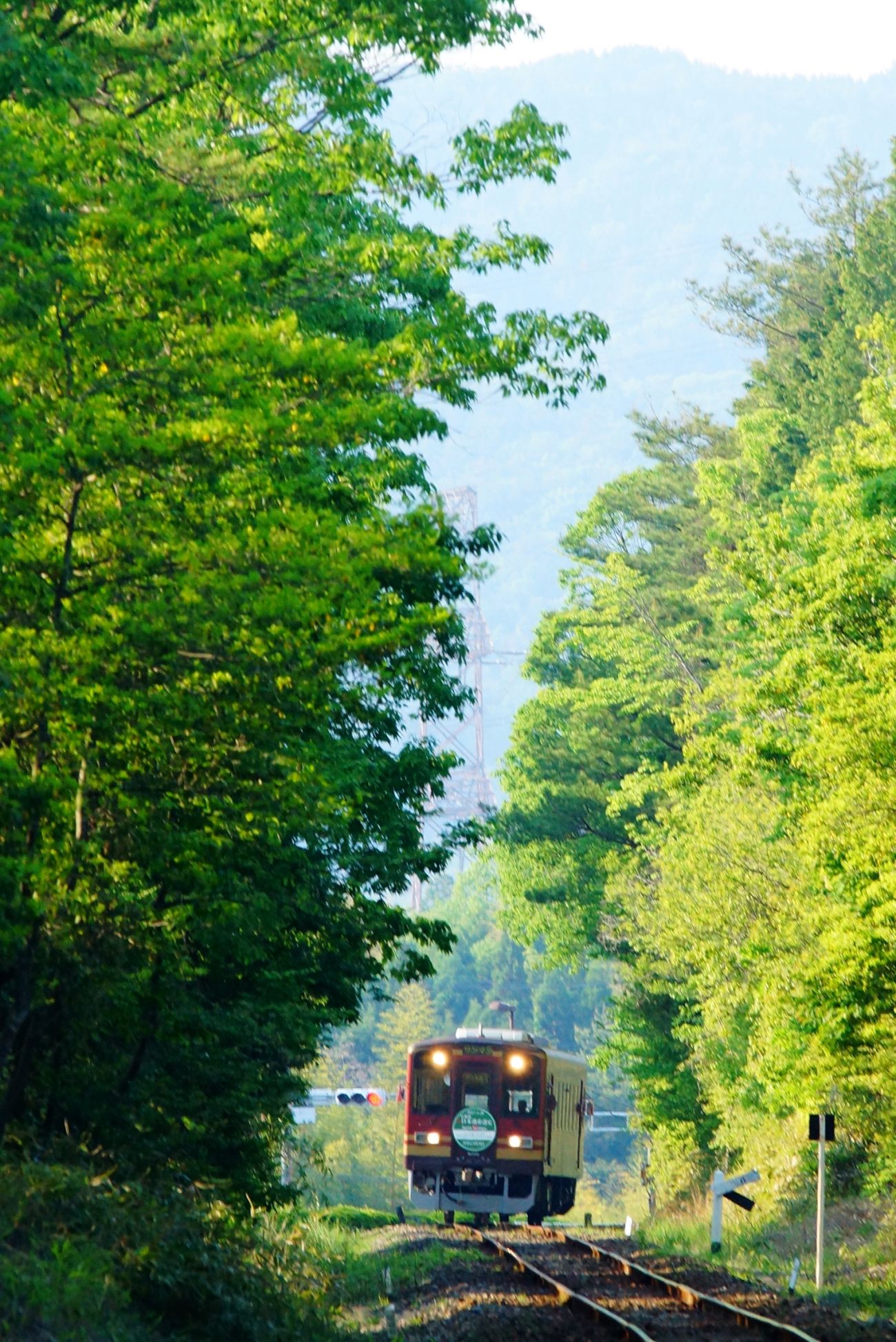 近江鉄道 信楽高原鉄道を 散歩してきました 気ままにｌｏｖｅ２ 楽天ブログ