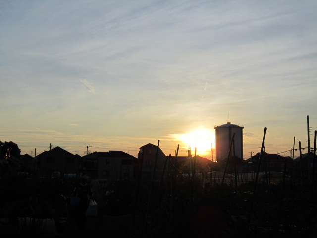 20120828夕陽.jpg
