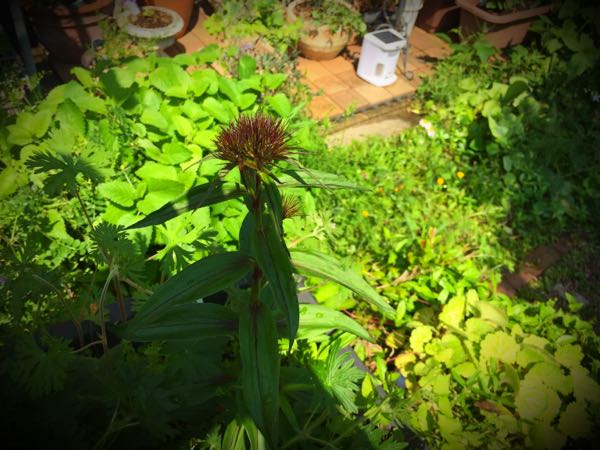 rblog-20160430181122-05.jpg