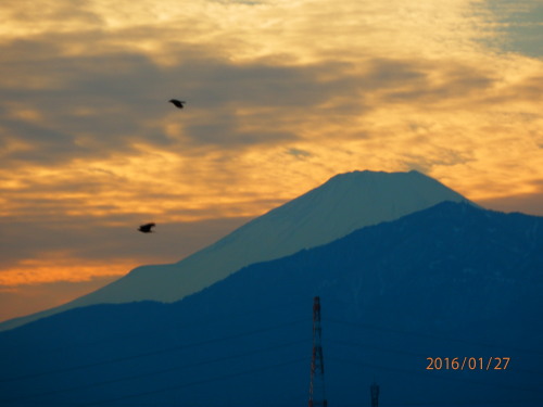 P1270018b20160127.jpg