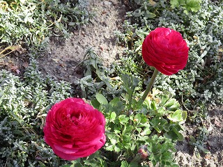 IMG_6826ss.jpg