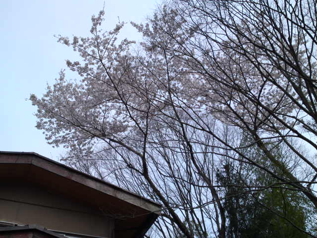 2012-04-15 06:08:26