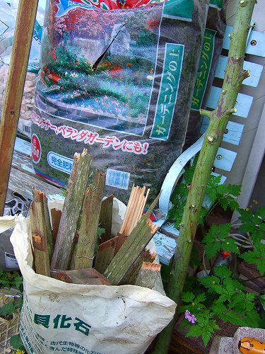 バラしたラティス