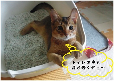 2012ヴァルト2 いきなりトイレかよ