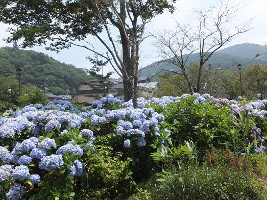 画像 570.jpg