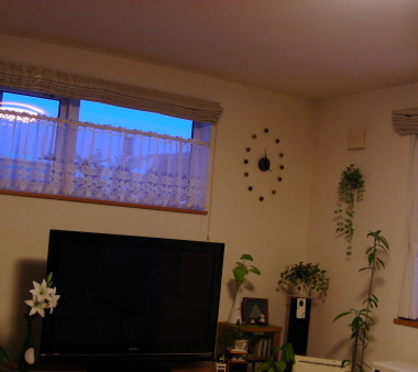 2015-11-264ji.JPG