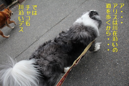 川沿い