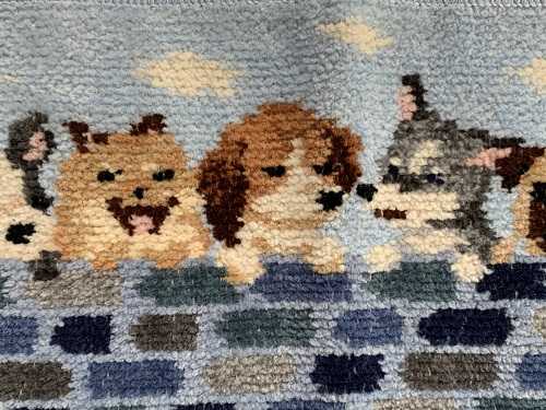 覗きわんこ【ハンカチリクエスト受付】 かわいいわんこが大集合　ふわふわパイルハンカチ〈犬ずかん〉 2枚組×２セット