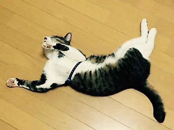 rblog-20150801165948-02.jpg