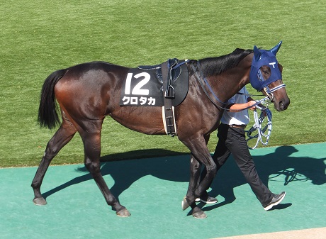 楽天競馬東京競馬場10.jpg