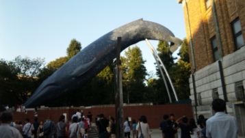 13918くじら１.JPG
