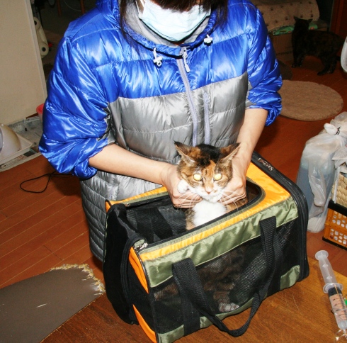 20140208ﾘﾐ01.jpg