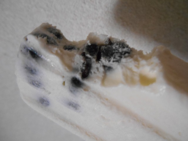DSCN1088.JPG