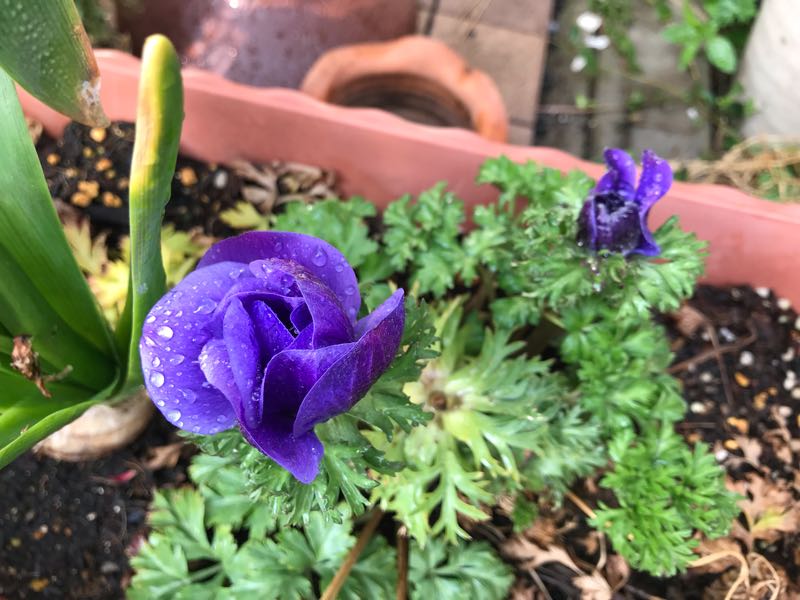 rblog-20190401164110-01.jpg
