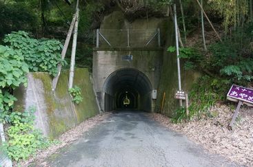 DSC00768.JPG