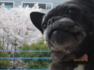 IMG_9800 (300x225).jpg