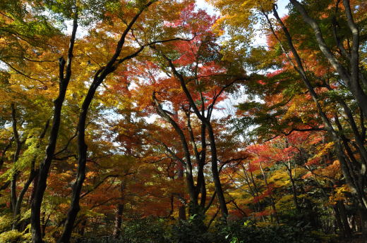 寺家公園