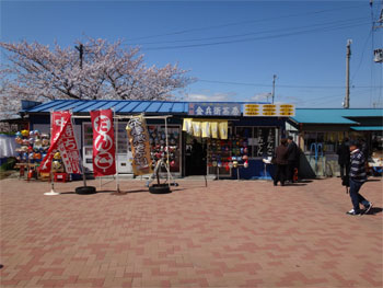 桜14.jpg