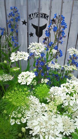 rblog-20140528091050-01.jpg