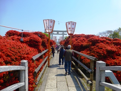 P1000131.JPG