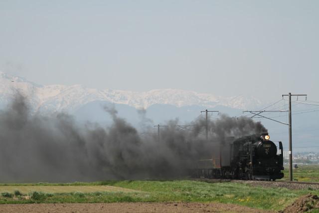 磐西485系 快速｢あいづ｣ & C61 20試運転2