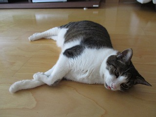 IMG_5764ss.jpg