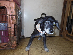 conv0640.JPG