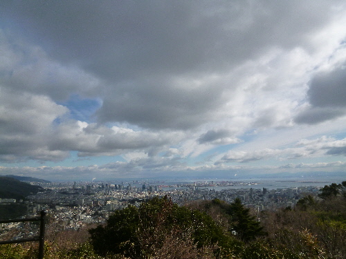 P1080440(1).JPG